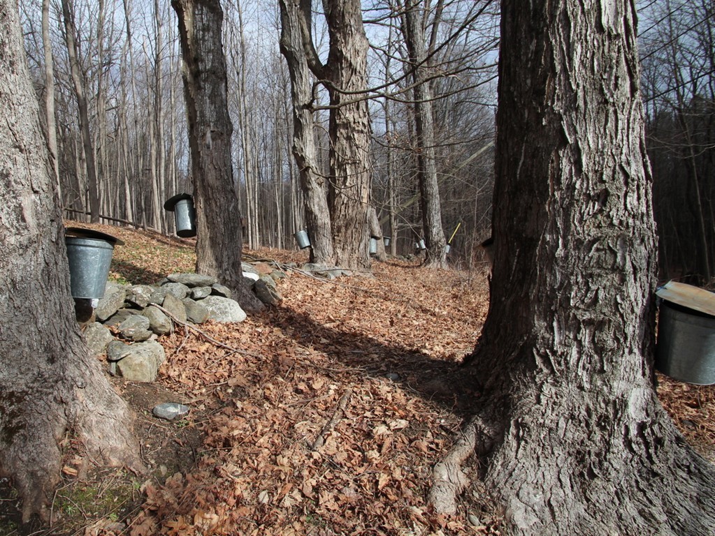 56 Mathews Road Deerfield, MA 01373 - Photo 28 of 28 Gallery Image 28