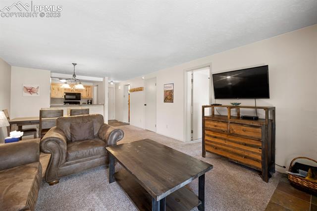 651 Gothic Road, Unit 301 Crested Butte, CO 81225 - Photo 16 of 24 Gallery Image 16