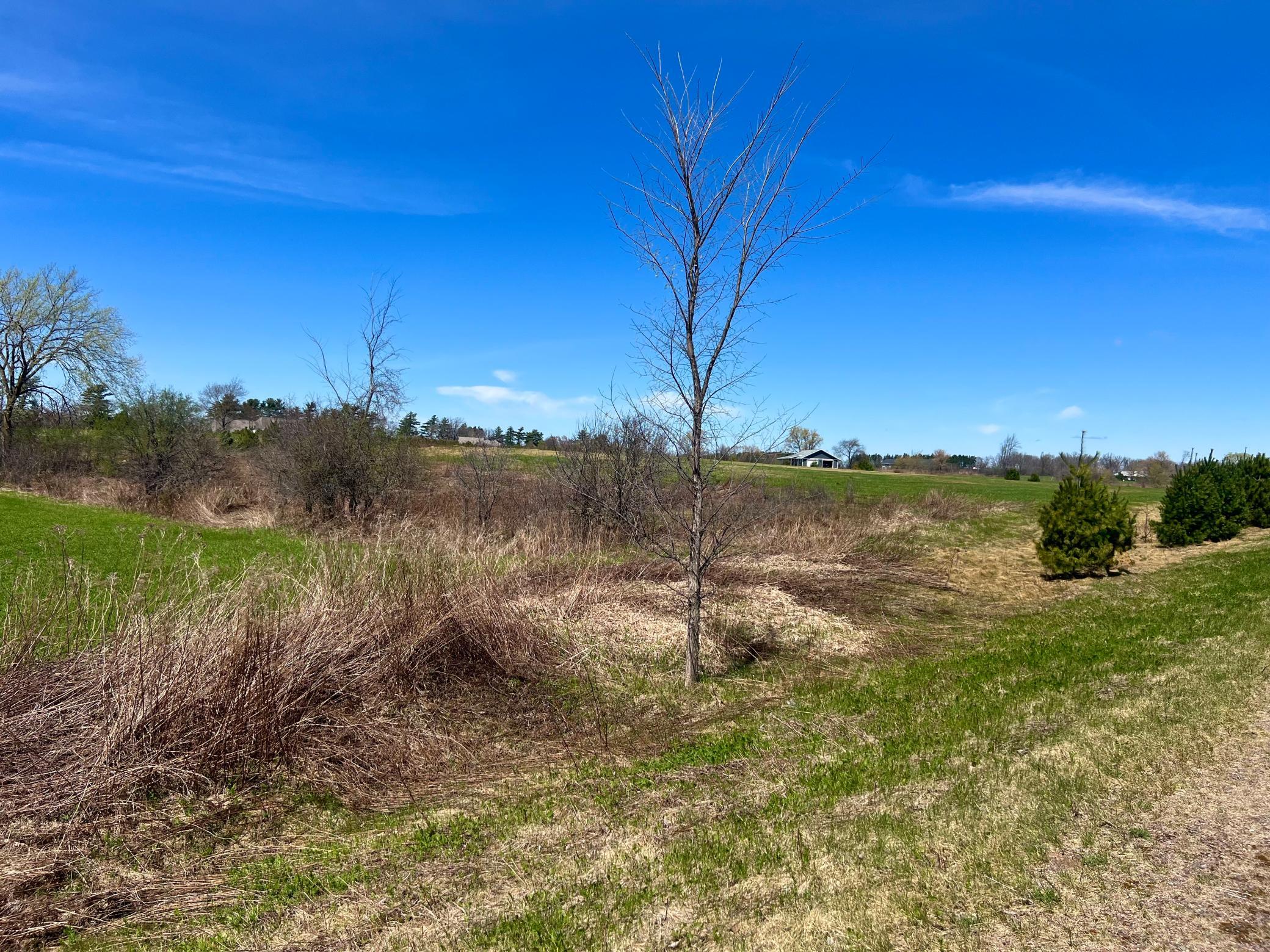 Lot 64 21 1/4 Street Rice Lake, WI 54868 - Photo 2 of 5