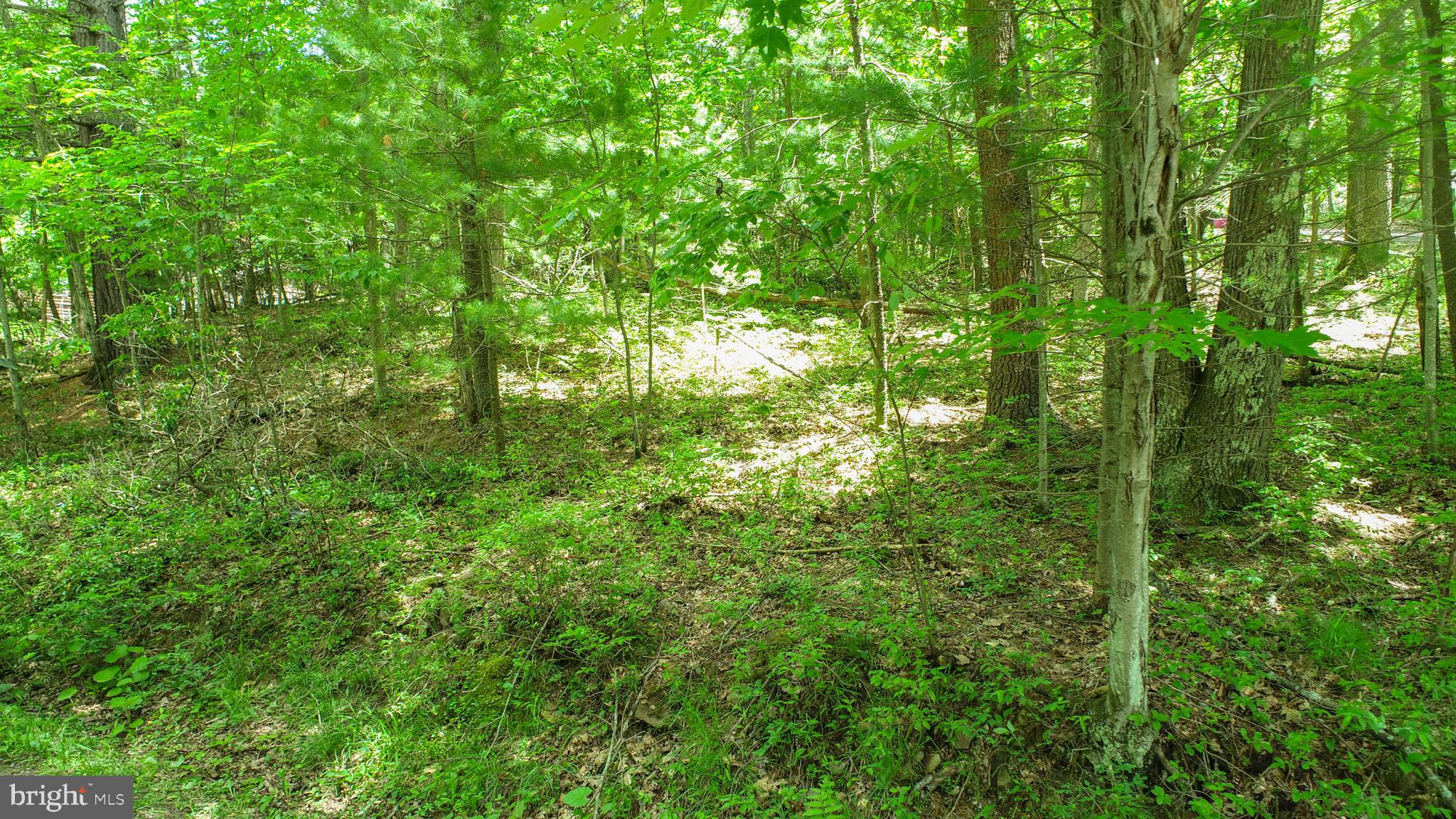 North Glade Road Swanton, MD 21561 - Photo 15 of 16