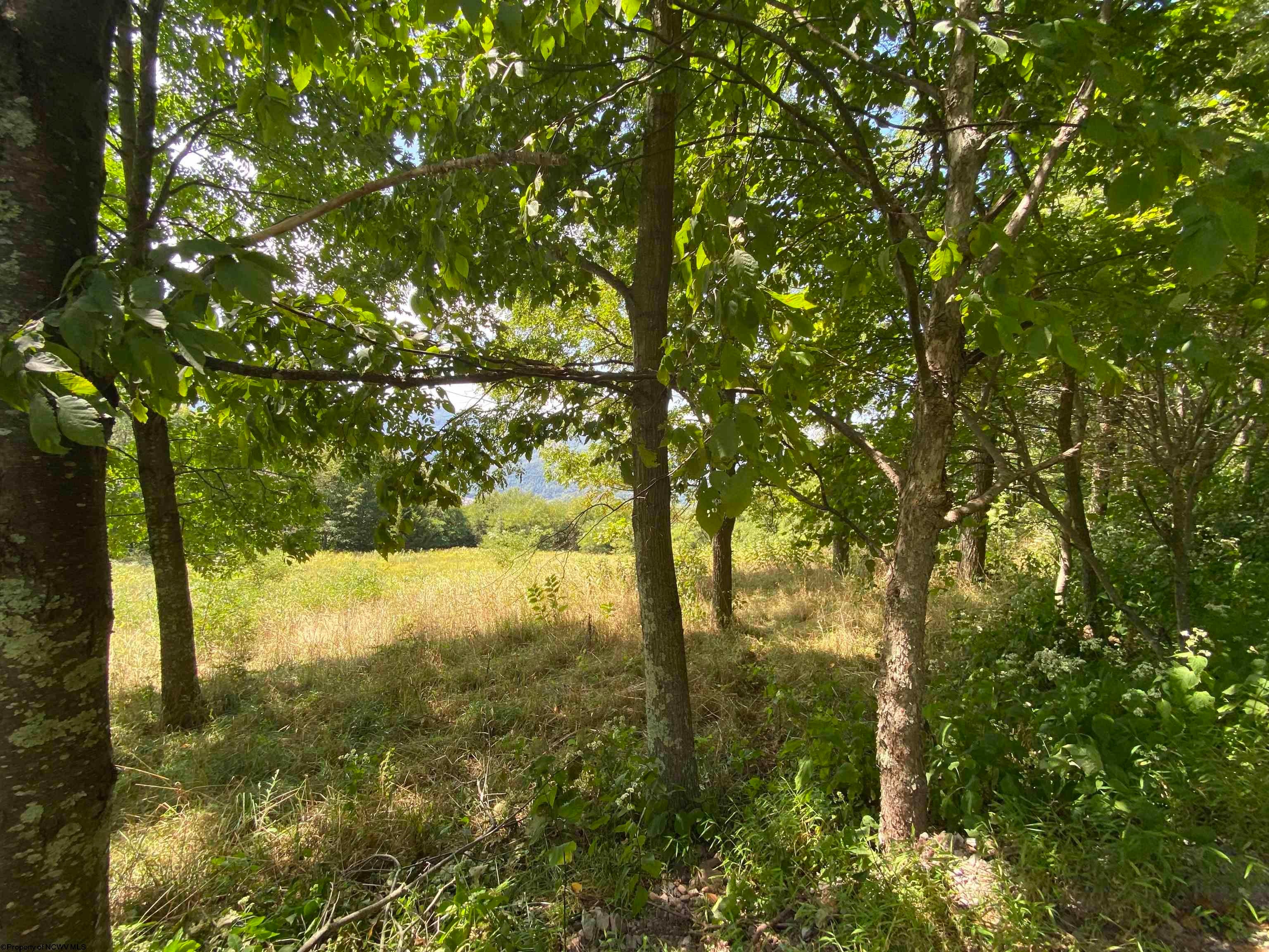 39 Meadows Road West Harman, WV 26270 - Photo 10 of 31 Gallery Image 10