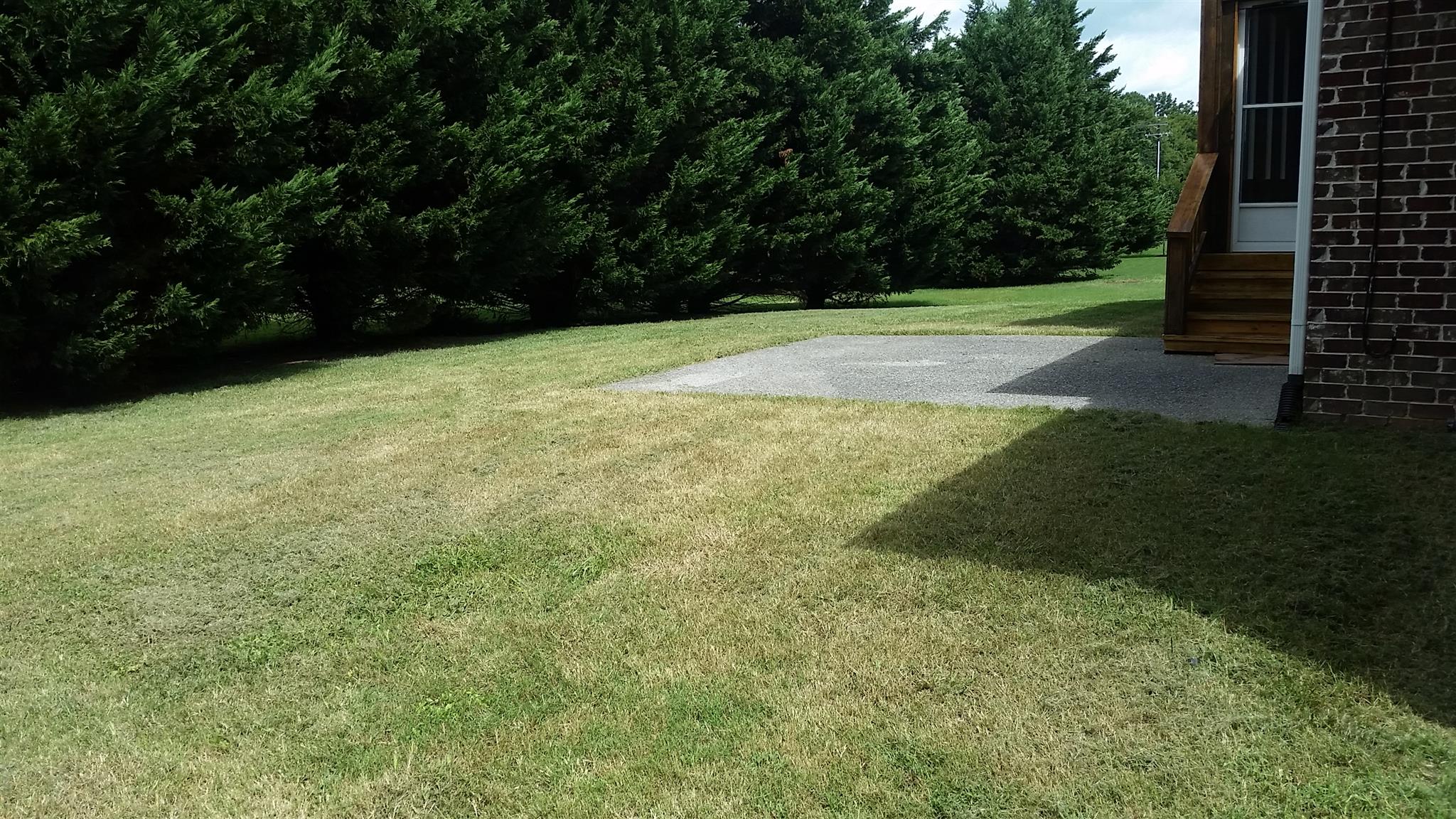 1631 Fair House Road Spring Hill, TN 37174 - Photo 29 of 29 a view of yard with green space