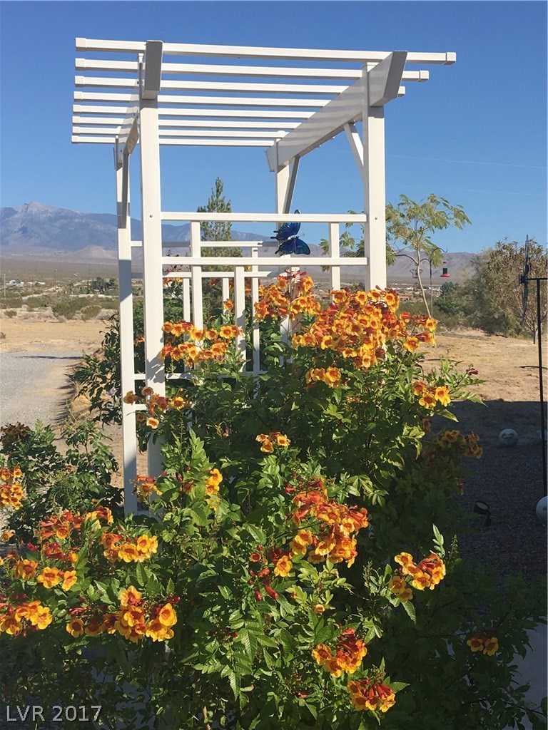 351 East Blosser Ranch Road Pahrump, NV 89060 - Photo 33 of 35 Gallery Image 33