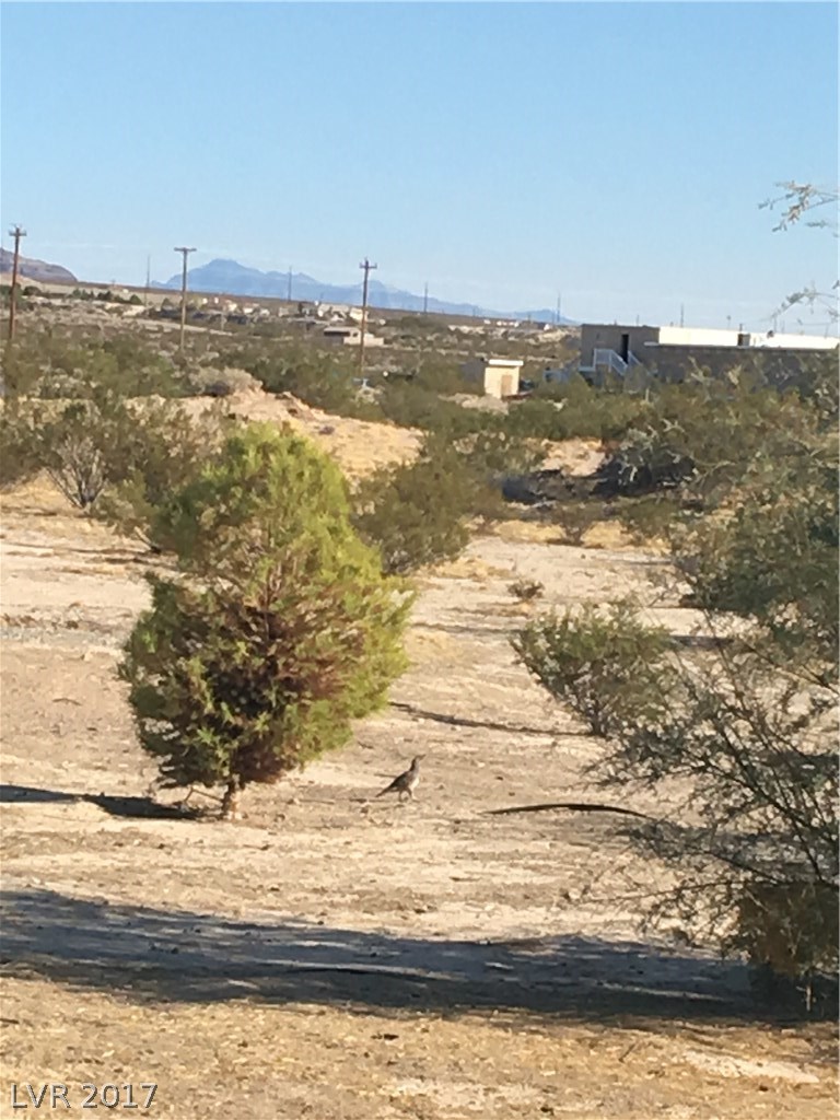351 East Blosser Ranch Road Pahrump, NV 89060 - Photo 35 of 35 Gallery Image 35