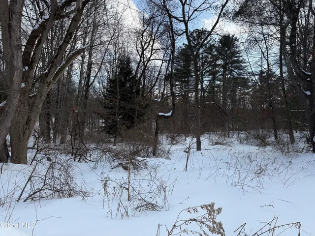 $28,900 | 45.5 South Hollywood Avenue, Gloversville, NY 12078