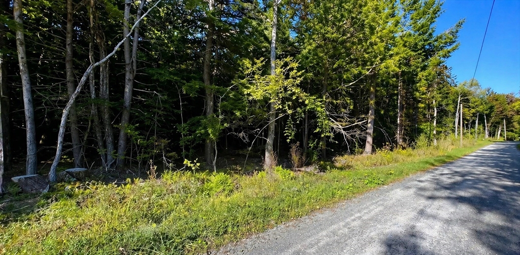 a view of a pathway of a park