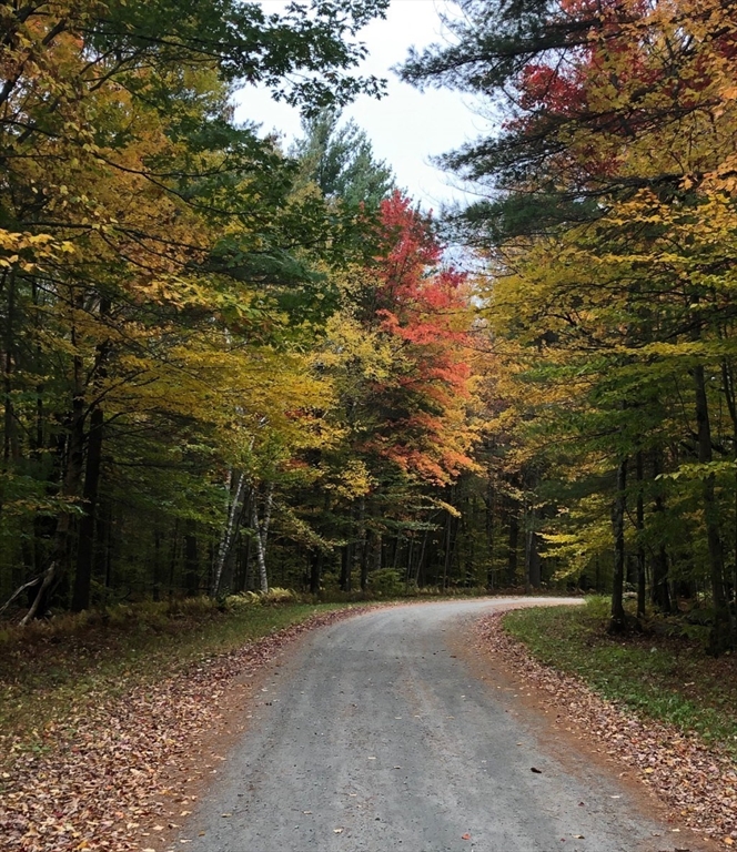 0 Gentian Hollow Road Becket, MA 01223 - Photo 2 of 6