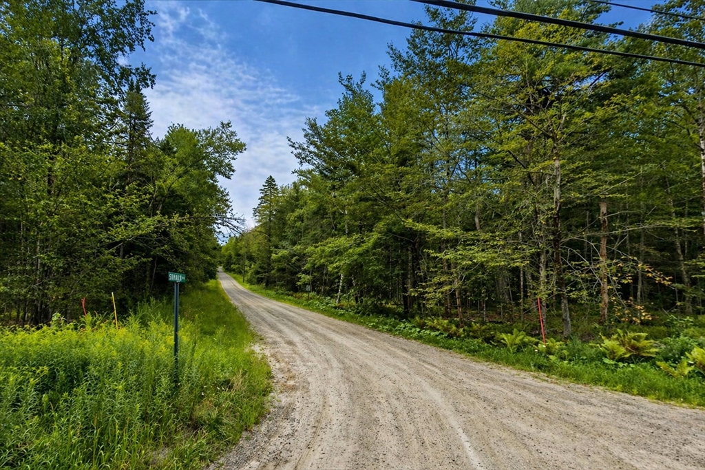 0 Gentian Hollow Road Becket, MA 01223 - Photo 2 of 4 a view of a lake with a yard