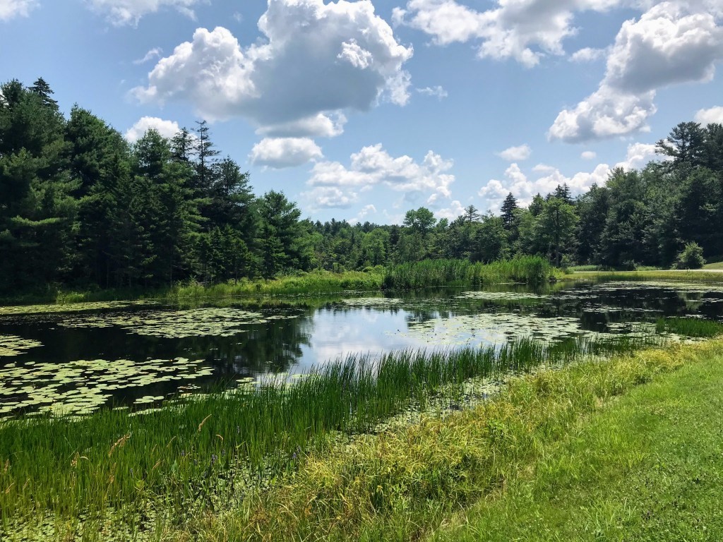 0 Gentian Hollow Road Becket, MA 01223 - Photo 3 of 6