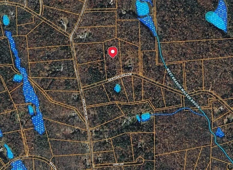 0 Gentian Hollow Road Becket, MA 01223 - Photo 5 of 6