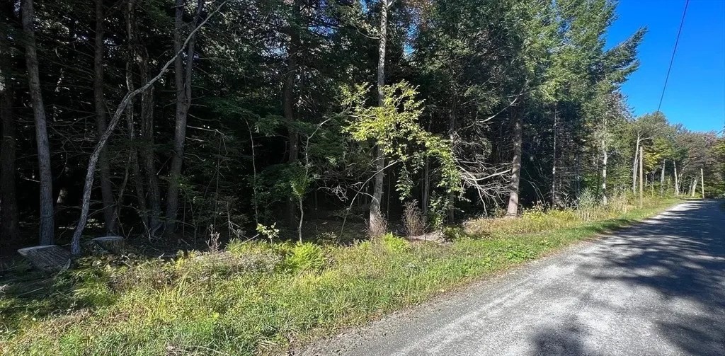 0 Gentian Hollow Road Becket, MA 01223 - Photo 6 of 6