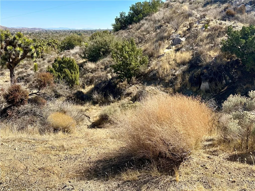 0 Pinon Yucca Valley Yucca Valley, CA 92284 - Photo 11 of 14 a view of lake view and covered with trees