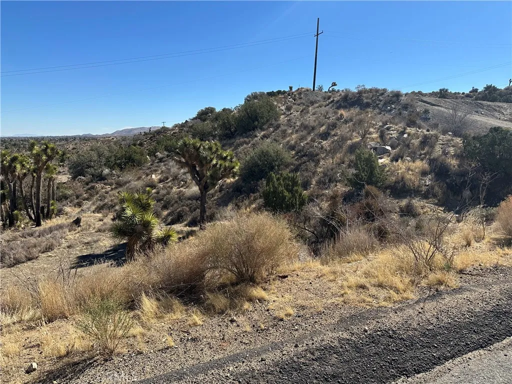 0 Pinon Yucca Valley Yucca Valley, CA 92284 - Photo 5 of 14 a view of a dry yard