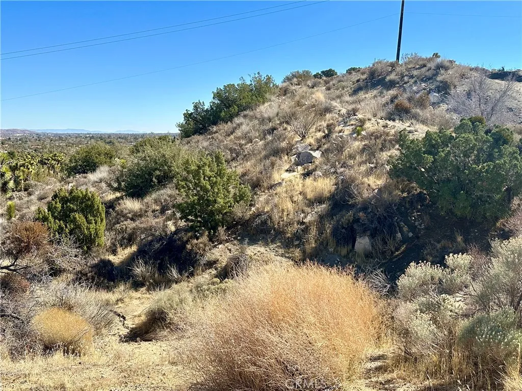 0 Pinon Yucca Valley Yucca Valley, CA 92284 - Photo 10 of 14 a view of a yard with a tree