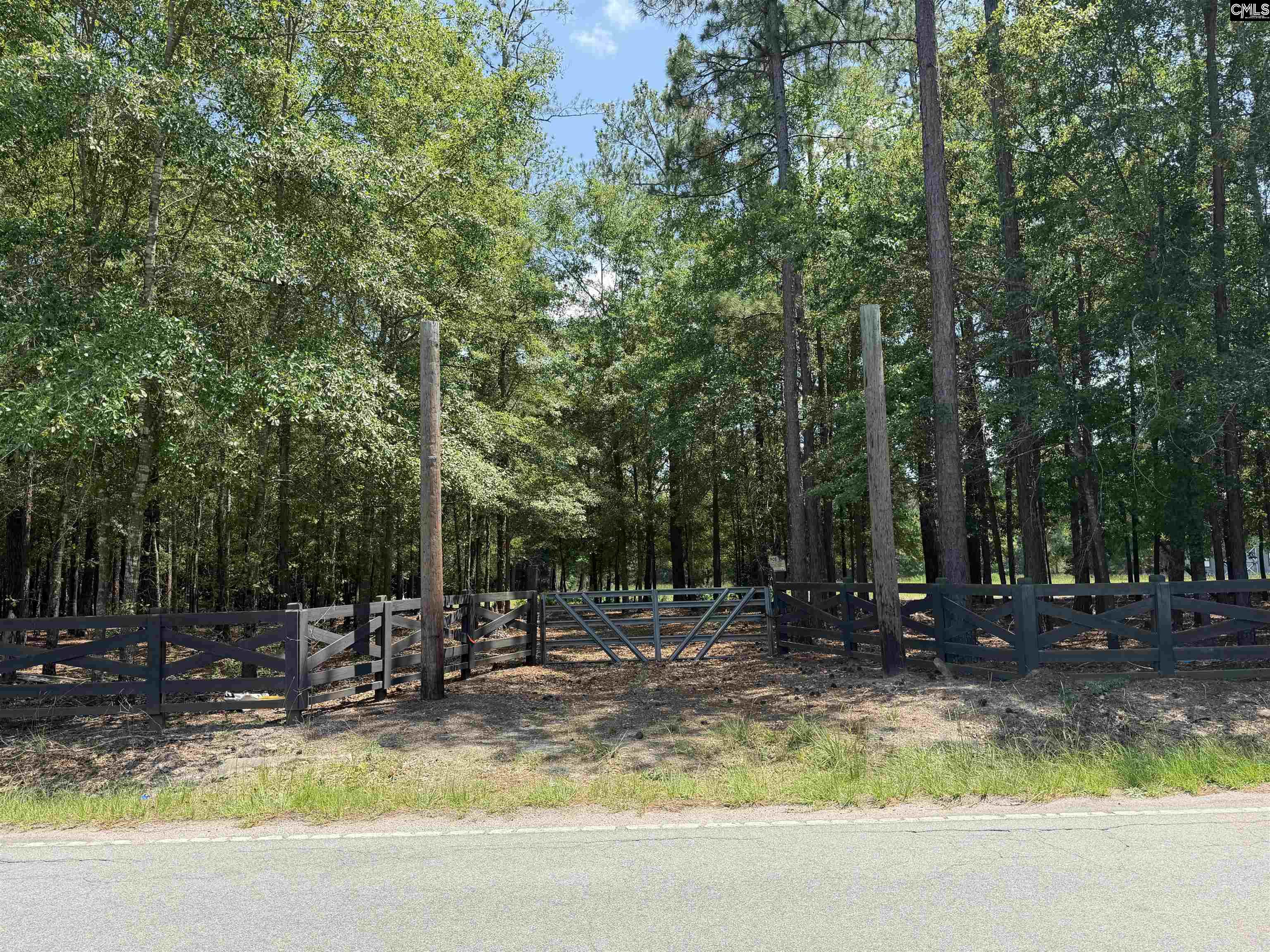 812 Sandfield Road Blythewood, SC 29016 - Photo 4 of 25
