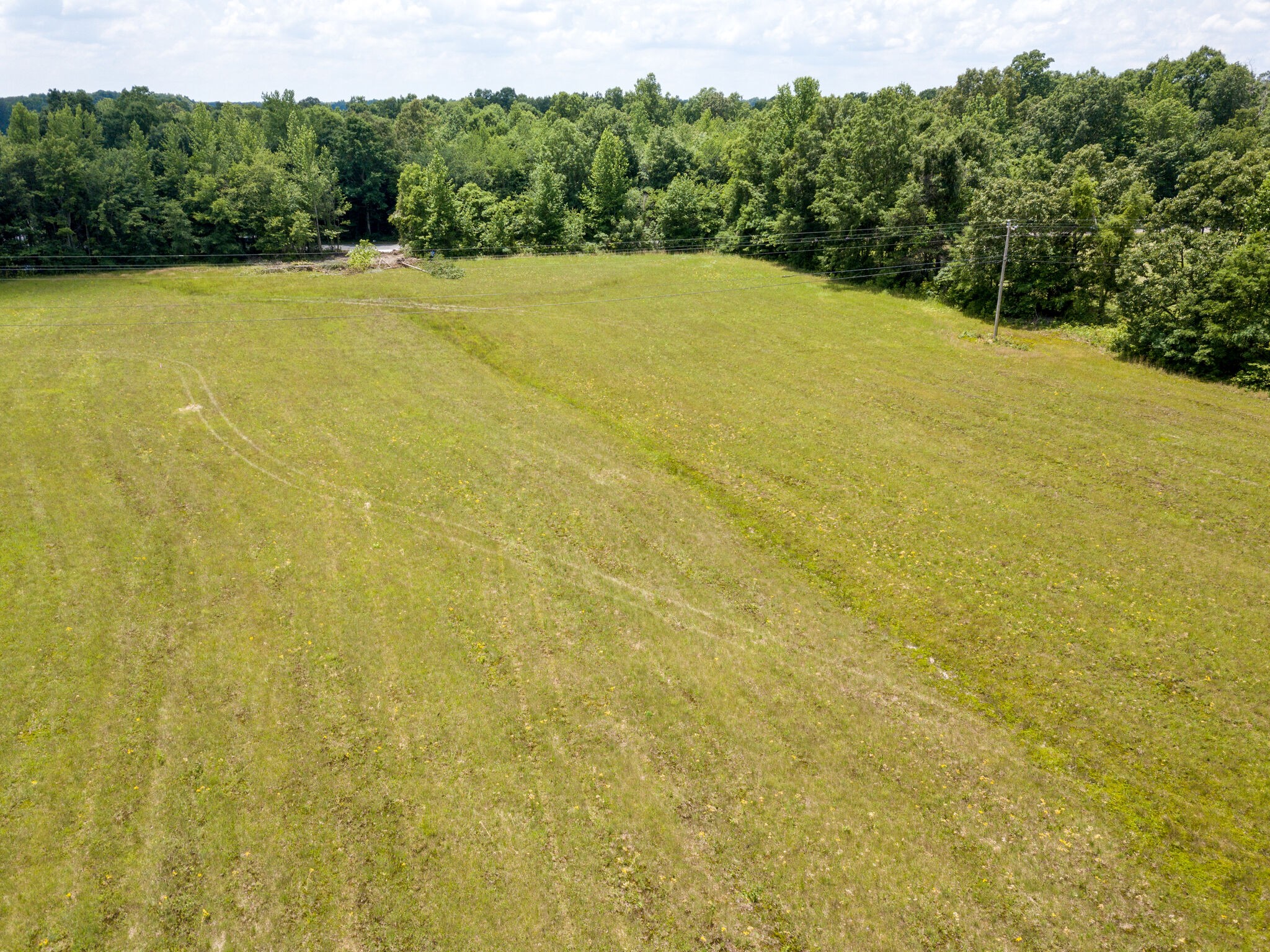 0 16th Model Road Manchester, TN 37355 - Photo 7 of 16 a view of a field with a trees in the background