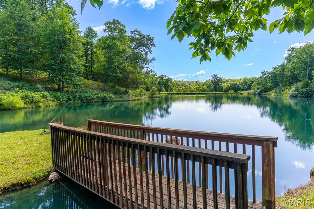 10450 Ok Road Bonne Terre, MO 63628 - Photo 71 of 93