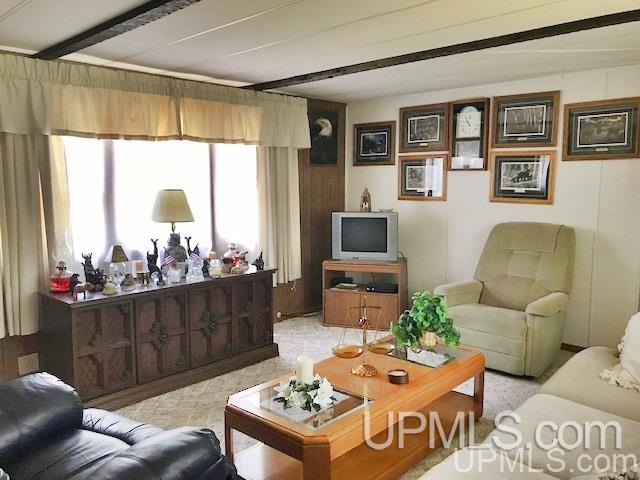 W11251 County Road Dunbar, WI 54119 - Photo 6 of 22