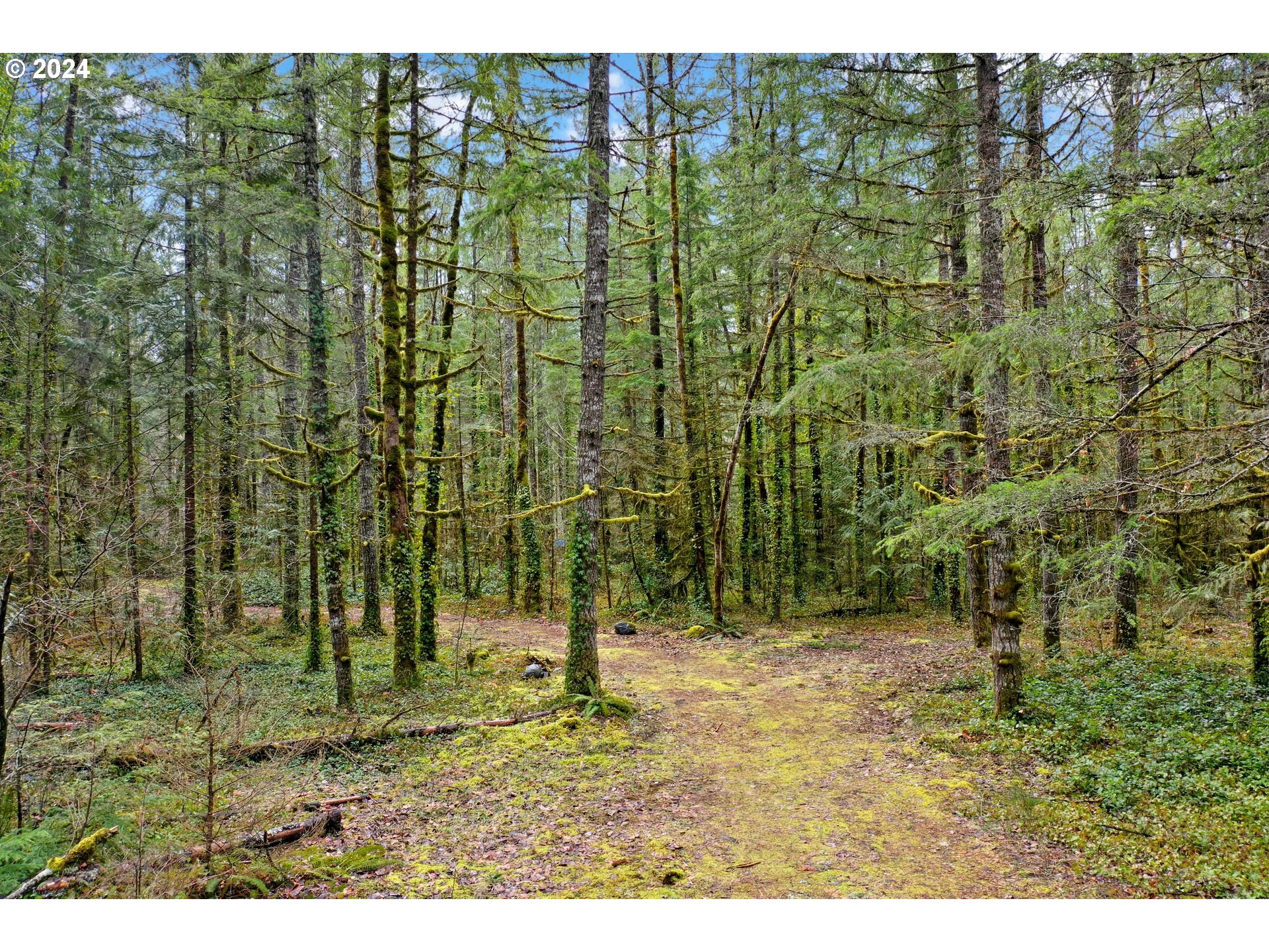 East Barlow Trail Road Rhododendron, OR 97049 - Photo 2 of 12 a view of outdoor space and garden