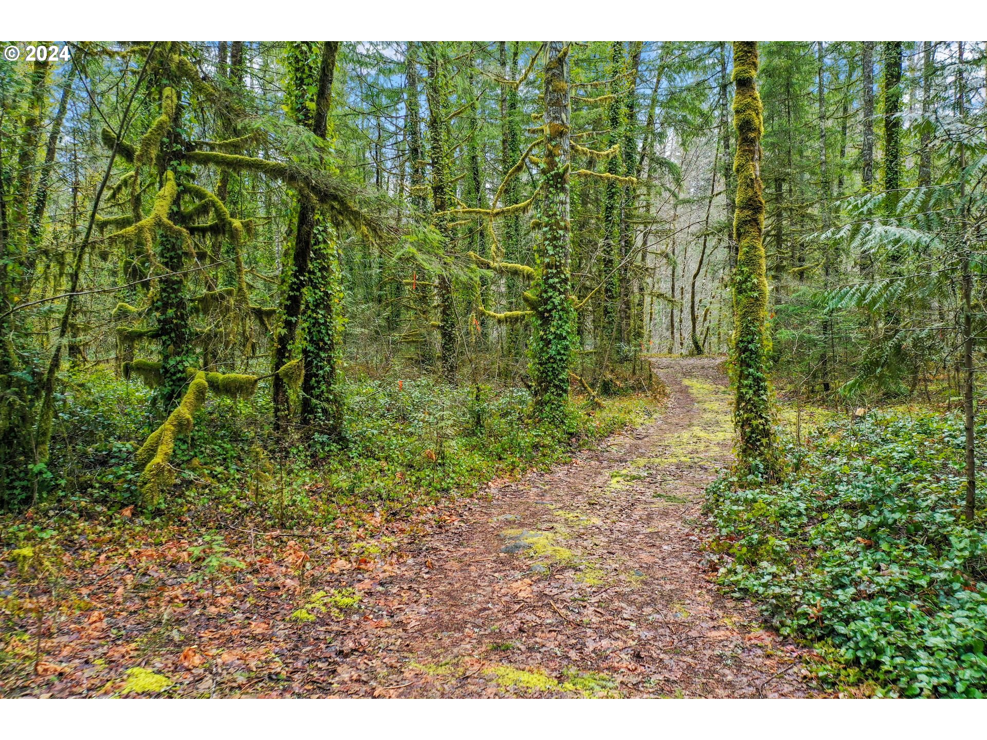 East Barlow Trail Road Rhododendron, OR 97049 - Photo 3 of 12 a view of a garden