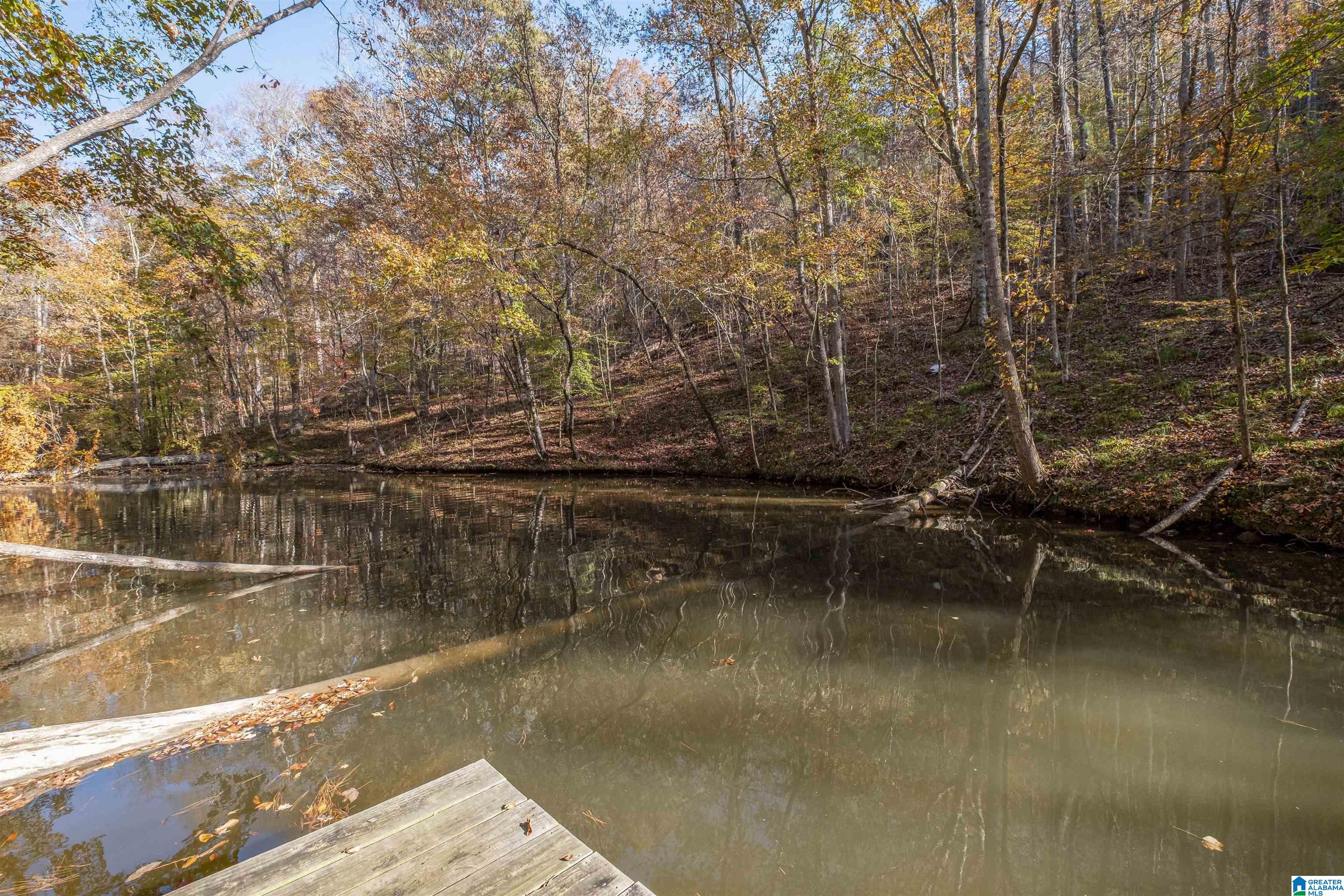 1595 Mohawk Cliff Road Ohatchee, AL 36271 - Photo 52 of 65