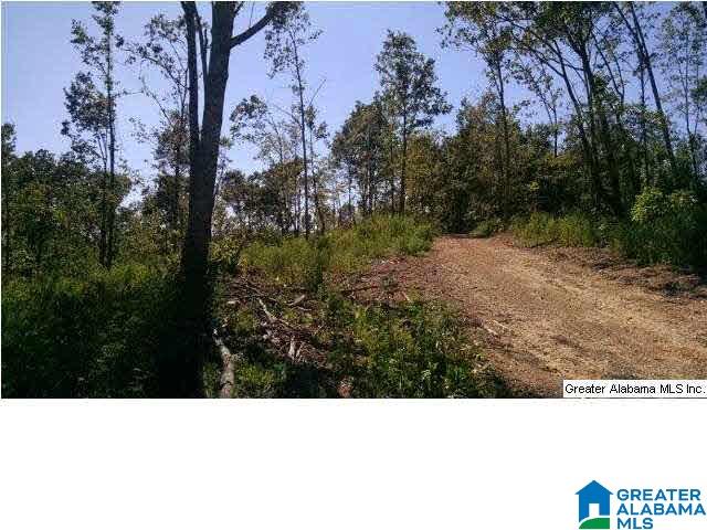 0 Beaver Ridge Drive, Unit 42 48 Ashville, AL 35953 - Photo 18 of 26