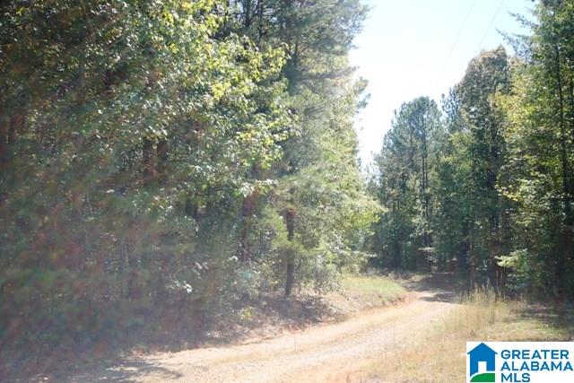 0 County Road 928, Unit 19 Delta, AL 36258 - Photo 39 of 43