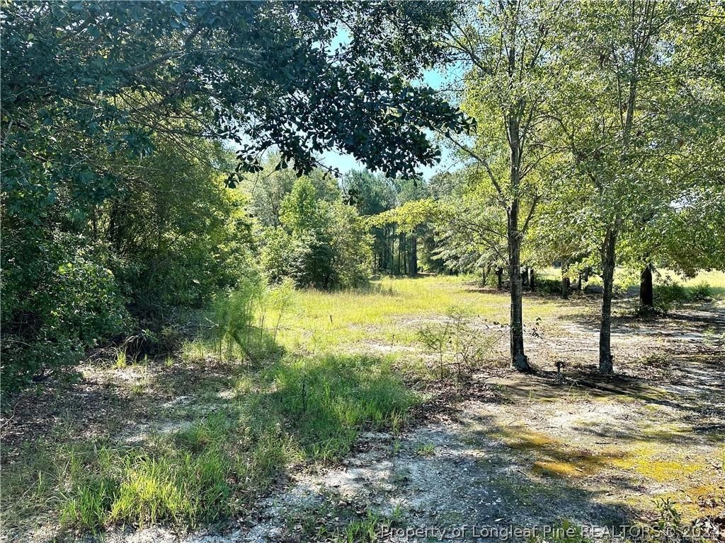 2960 Duck Pond Road Linden, NC 28356 - Photo 1 of 9 Gallery Image 1