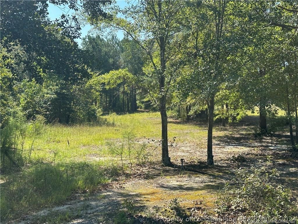 2960 Duck Pond Road Linden, NC 28356 - Photo 7 of 9 Gallery Image 7