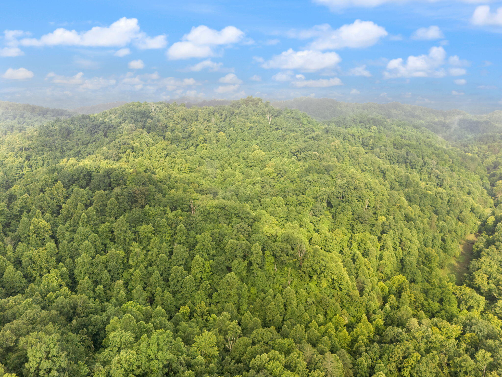 492 Sugar Camp Road Booneville, KY 41314 - Photo 32 of 44 22-web-or-mls-DJI_20250701090635_0060_D