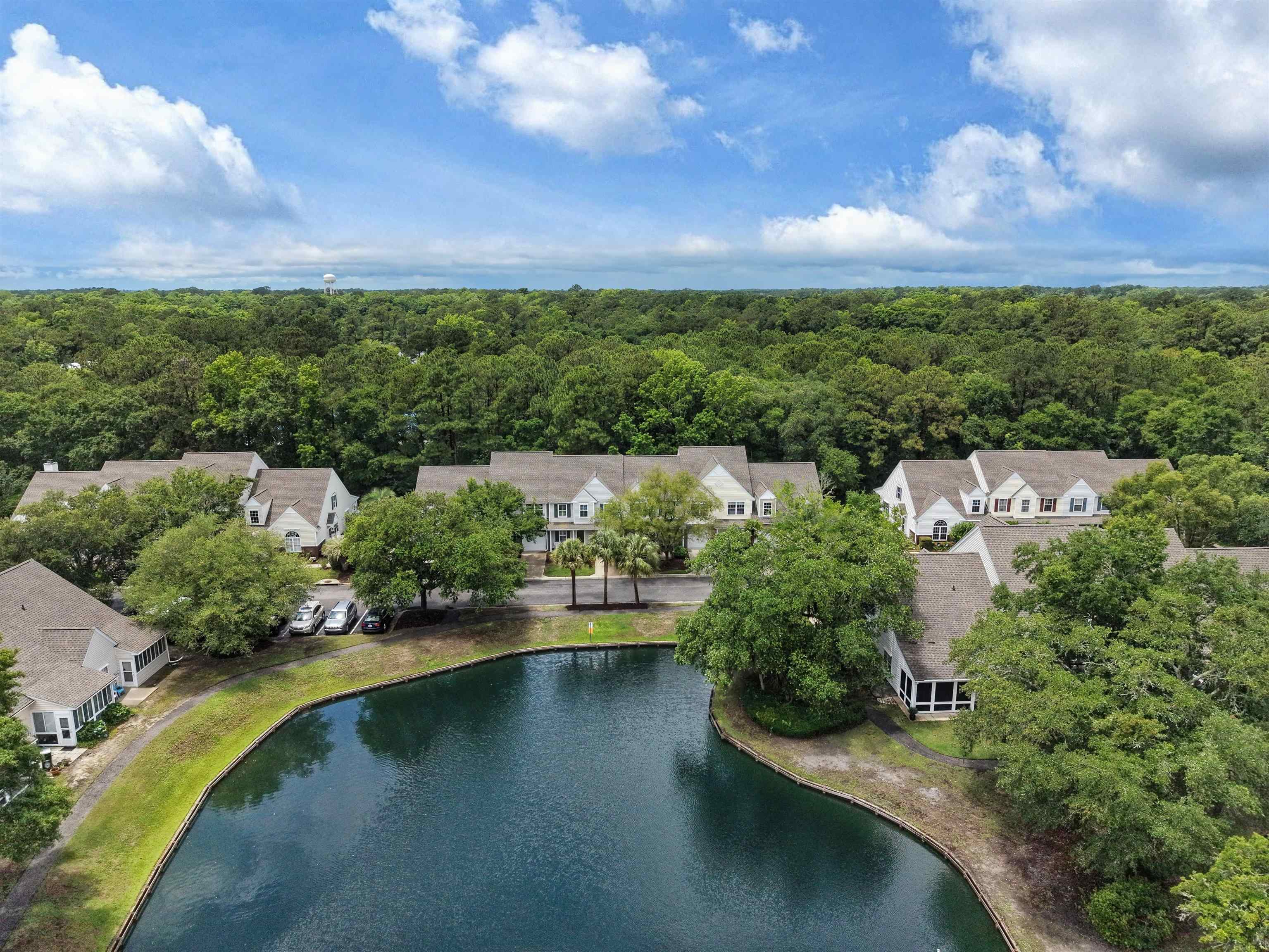 116 Palisade Loop, Unit 116 Pawleys Island, SC 29585 - Photo 50 of 56