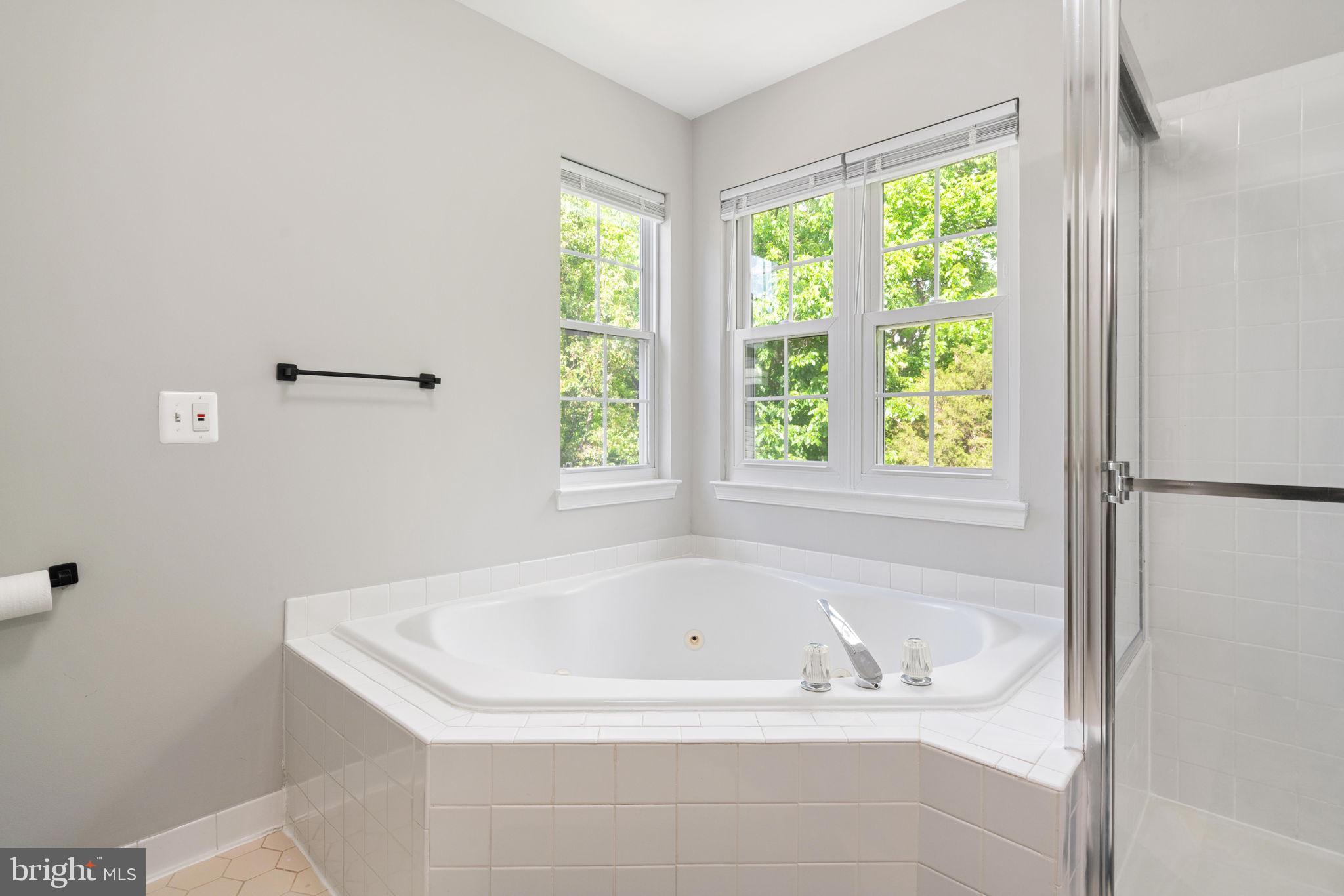 21654 Frame Square Broadlands, VA 20148 - Photo 37 of 43 Serene corner tub with natural light.