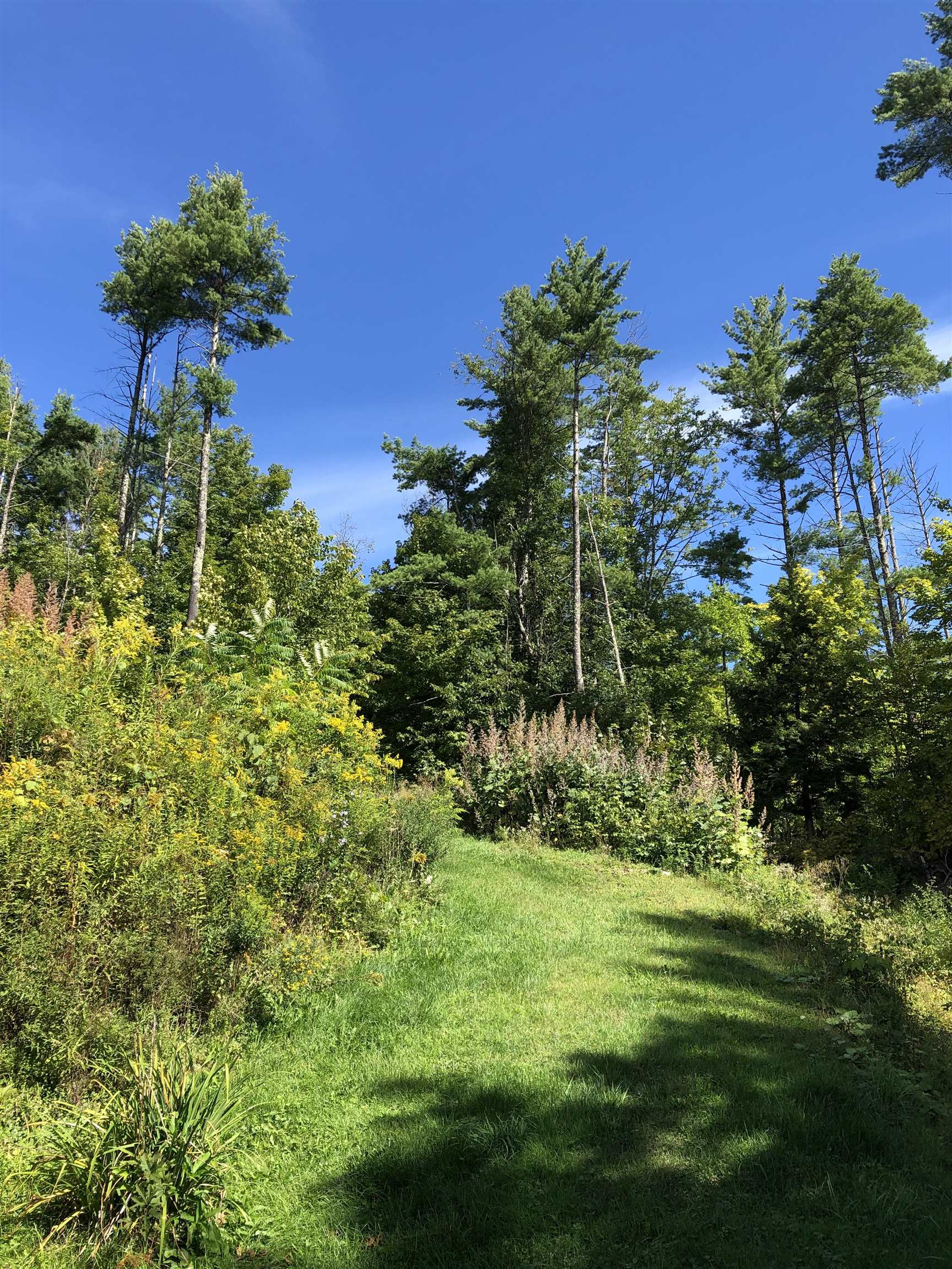 2697 Highland Gray Road Poultney, VT 05764 - Photo 36 of 37