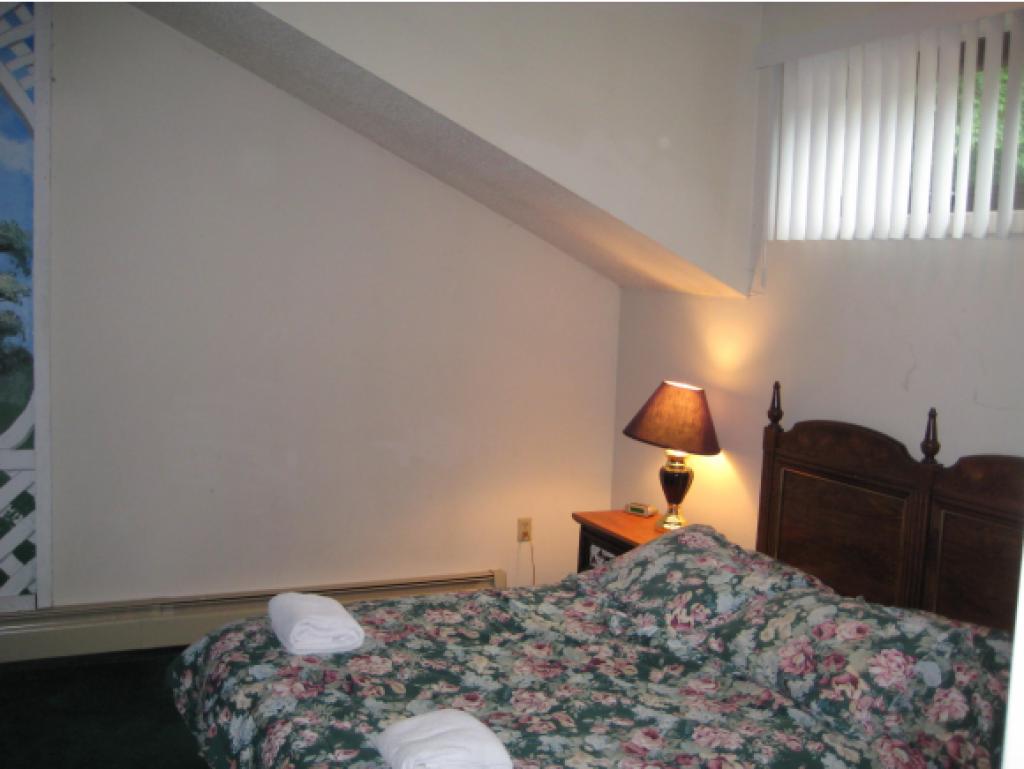 4 F Seasons At Attitash Road, Unit 4F Bartlett, NH 03860 - Photo 13 of 29 Gallery Image 13