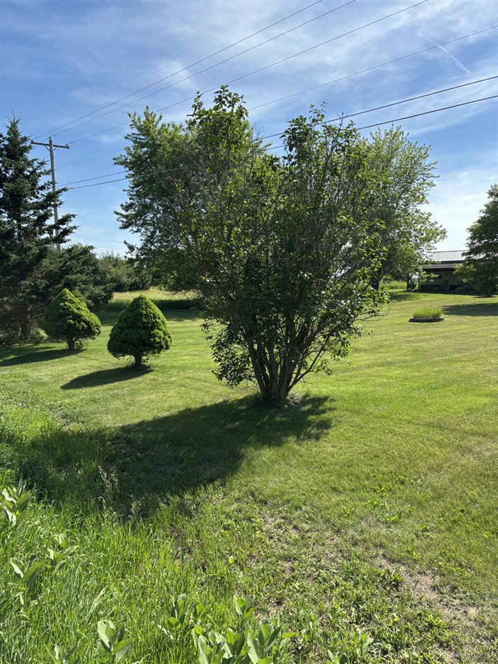 10289 Lee Road Grass Lake, MI 49240 - Photo 79 of 99
