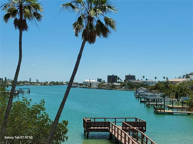 a view of a lake with a palm trees