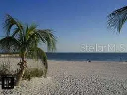 a view of outdoor space with palm trees
