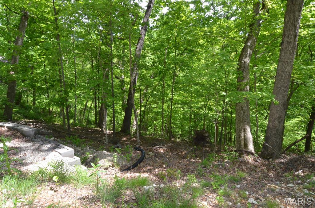 1730 Chimney Top Farms Road Wildwood, MO 63038 - Photo 11 of 27