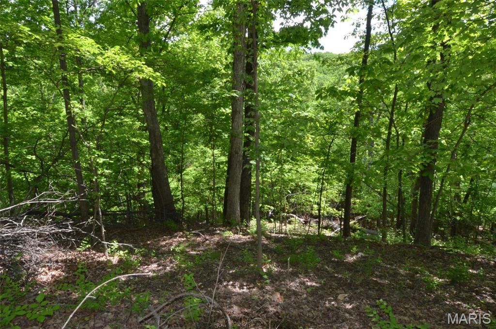 1730 Chimney Top Farms Road Wildwood, MO 63038 - Photo 12 of 27