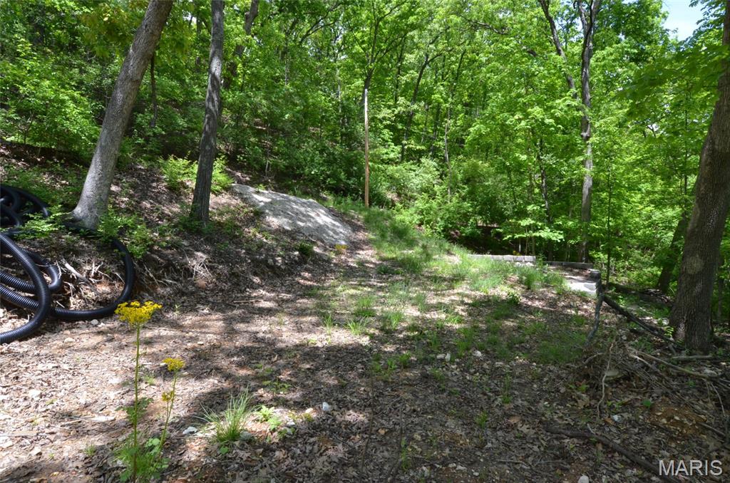 1730 Chimney Top Farms Road Wildwood, MO 63038 - Photo 13 of 27