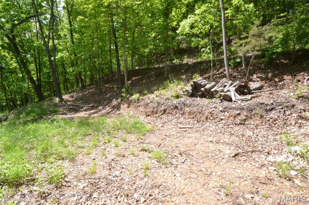 1730 Chimney Top Farms Road Wildwood, MO 63038 - Photo 15 of 27