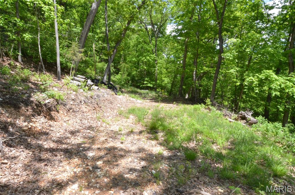 1730 Chimney Top Farms Road Wildwood, MO 63038 - Photo 16 of 27