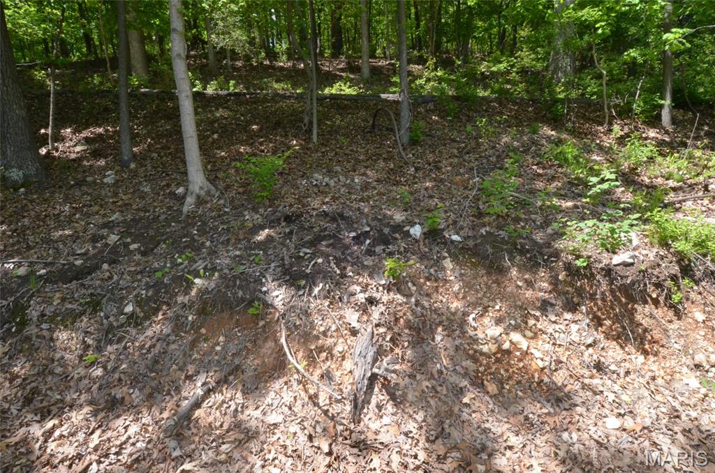 1730 Chimney Top Farms Road Wildwood, MO 63038 - Photo 17 of 27