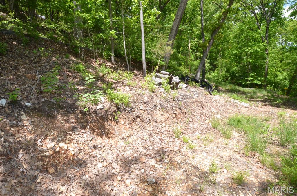 1730 Chimney Top Farms Road Wildwood, MO 63038 - Photo 18 of 27