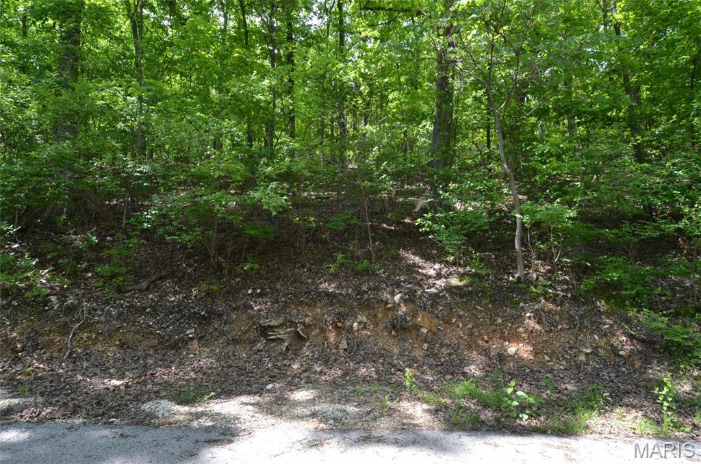 1730 Chimney Top Farms Road Wildwood, MO 63038 - Photo 19 of 27