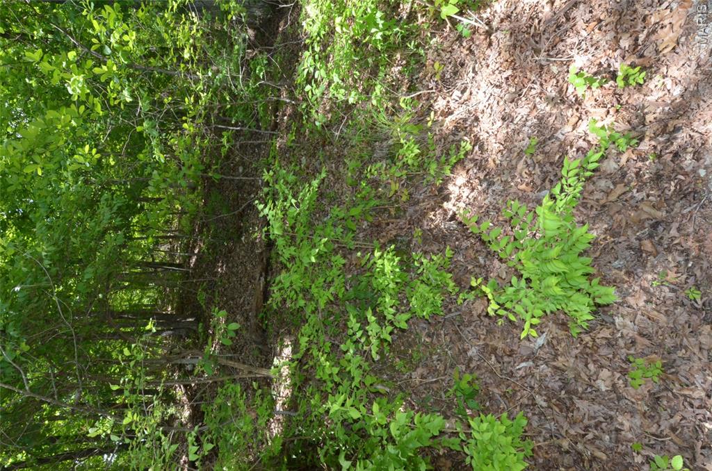 1730 Chimney Top Farms Road Wildwood, MO 63038 - Photo 20 of 27