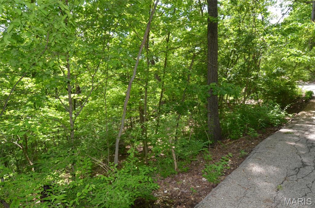 1730 Chimney Top Farms Road Wildwood, MO 63038 - Photo 2 of 27