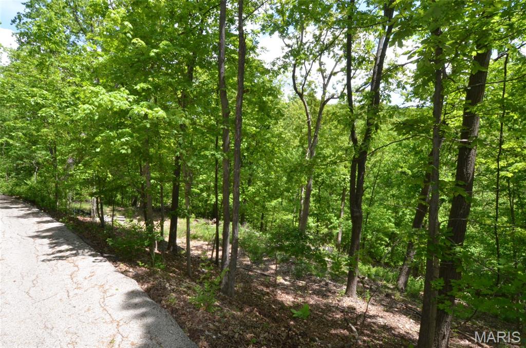 1730 Chimney Top Farms Road Wildwood, MO 63038 - Photo 22 of 27