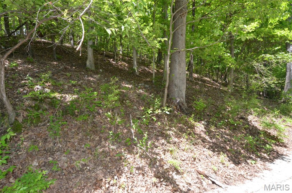 1730 Chimney Top Farms Road Wildwood, MO 63038 - Photo 23 of 27