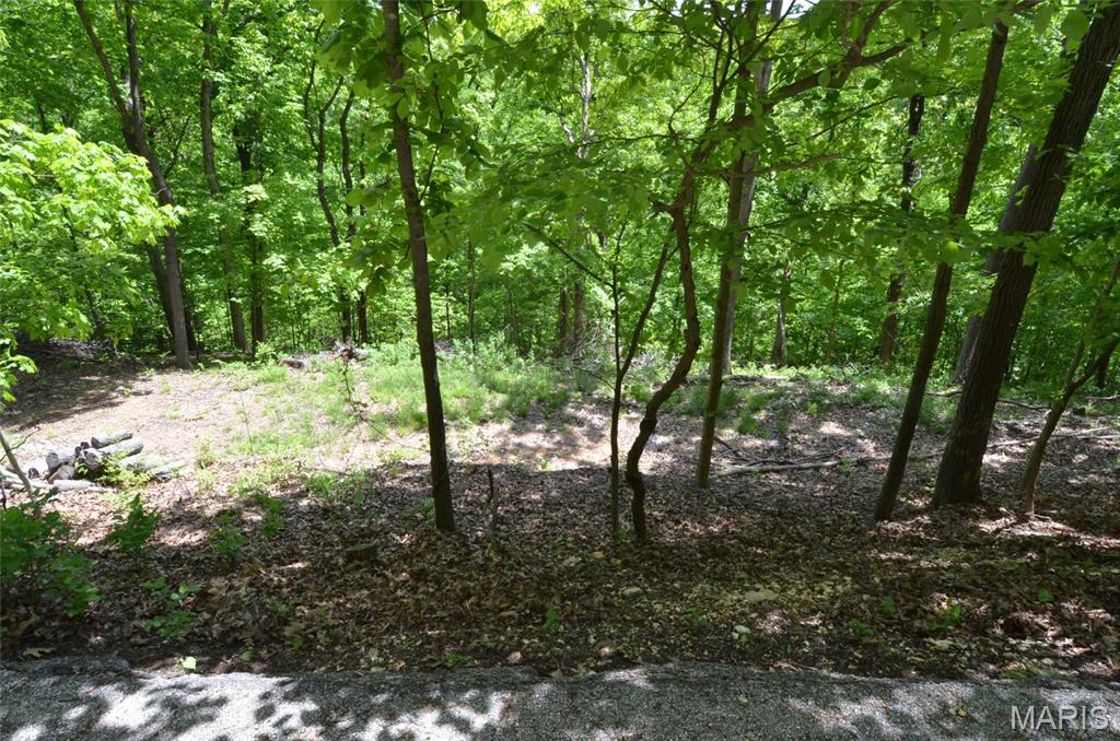 1730 Chimney Top Farms Road Wildwood, MO 63038 - Photo 24 of 27